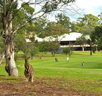 Pambula Merimbula Golf Club - Accommodation Burleigh