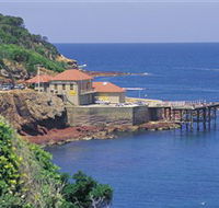Merimbula Aquarium - Accommodation Burleigh