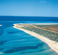 Monkey Mia - Accommodation Burleigh