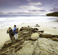 Wilderness Coast Walk - Accommodation Burleigh