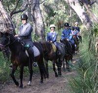 Mirravale Horse Riding School - Accommodation Burleigh