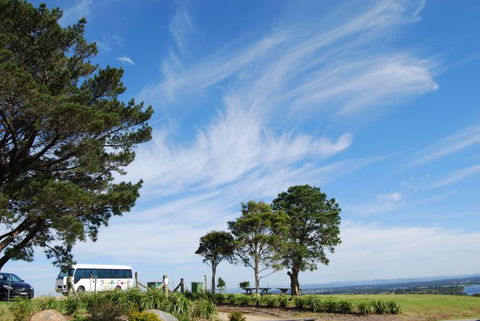 South Coast Scenic Tours - Accommodation Burleigh 6