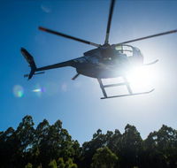 Tall Timbers Adventure Tours - Accommodation Burleigh