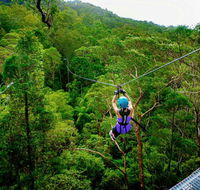 Canyon Flyer - Accommodation Burleigh