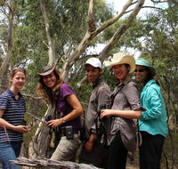 Echidna Walkabout Nature Tours - Accommodation Burleigh