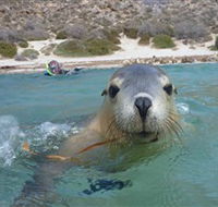 Calypso Star Charters - Accommodation Burleigh