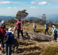 Hedonistic Hiking - Accommodation Burleigh