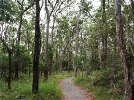 Caboolture Regional Environment Education Centre - Walking Trails - Accommodation Burleigh 0
