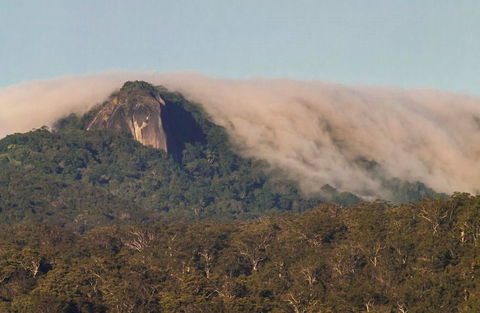 North Queensland Wildscapes Phototours - Accommodation Burleigh 0