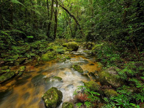 North Queensland Wildscapes Phototours - Accommodation Burleigh 2