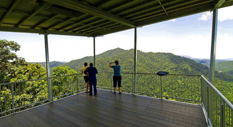North Queensland Wildscapes Phototours - Accommodation Burleigh 6
