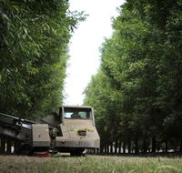 ODempseys Charters and Tours - Accommodation Burleigh