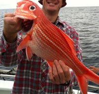 Goin' Off Safaris - Accommodation Burleigh