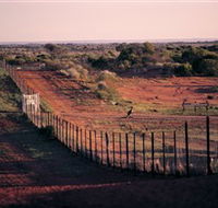 Tri State Safaris - Accommodation Burleigh