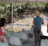 Whitsunday Crocodile Safari - Accommodation Burleigh