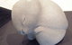 Glen Innes Art Gallery Inc - thumb 1