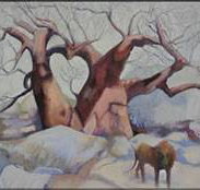 Bright Madge - Accommodation Burleigh