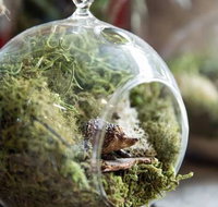 Moxom and Whitney - Accommodation Burleigh