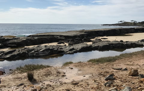 Yamba Tours And Charters - Accommodation Burleigh 0