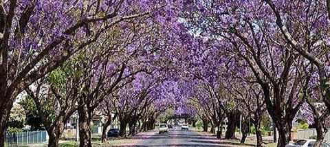 Yamba Tours And Charters - Accommodation Burleigh 6
