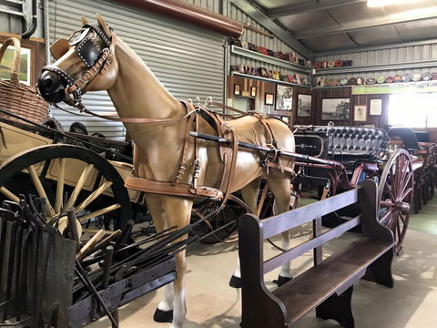 Yamba Tours And Charters - Accommodation Burleigh 9