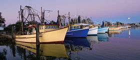 Yamba Tours And Charters - Accommodation Burleigh 14