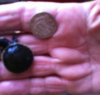 Hurleys Aquariums - Accommodation Burleigh