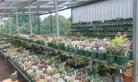 Summerland Aquarium - Accommodation Burleigh 0