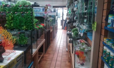 Summerland Aquarium - Accommodation Burleigh 4