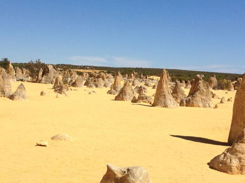 Pinnacles Desert, Koalas And Sandboarding 4WD Day Tour From Perth - Accommodation Burleigh 15