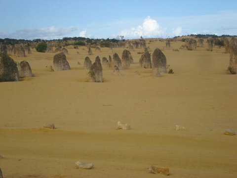 Pinnacles Desert, Koalas And Sandboarding 4WD Day Tour From Perth - Accommodation Burleigh 23