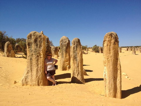 Pinnacles Desert, Koalas And Sandboarding 4WD Day Tour From Perth - Accommodation Burleigh 17