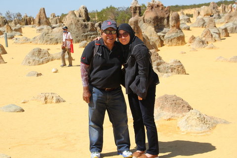 Pinnacles Desert, Koalas And Sandboarding 4WD Day Tour From Perth - Accommodation Burleigh 12