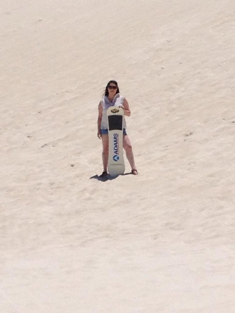 Pinnacles Desert, Koalas And Sandboarding 4WD Day Tour From Perth - Accommodation Burleigh 21