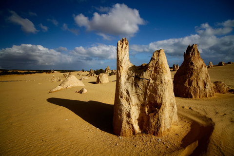 Pinnacles Desert, Koalas And Sandboarding 4WD Day Tour From Perth - Accommodation Burleigh 6