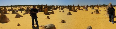 Pinnacles Desert, Koalas And Sandboarding 4WD Day Tour From Perth - Accommodation Burleigh 11