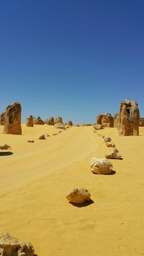Pinnacles Desert, Koalas And Sandboarding 4WD Day Tour From Perth - Accommodation Burleigh 3