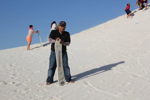 Pinnacles Desert, Koalas And Sandboarding 4WD Day Tour From Perth - Accommodation Burleigh 9