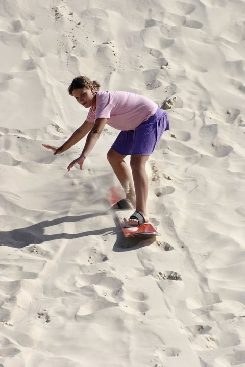 Pinnacles Desert, Koalas And Sandboarding 4WD Day Tour From Perth - Accommodation Burleigh 24