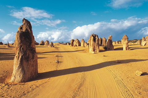Pinnacles Desert, Koalas And Sandboarding 4WD Day Tour From Perth - Accommodation Burleigh 0