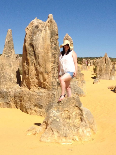 Pinnacles Desert, Koalas And Sandboarding 4WD Day Tour From Perth - Accommodation Burleigh 16