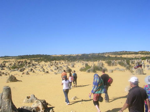 Pinnacles Desert, Koalas And Sandboarding 4WD Day Tour From Perth - Accommodation Burleigh 25