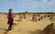 Pinnacles Desert, Koalas And Sandboarding 4WD Day Tour From Perth - thumb 13