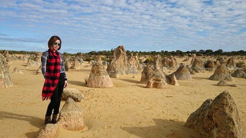 Pinnacles Desert, Koalas And Sandboarding 4WD Day Tour From Perth - Accommodation Burleigh 13