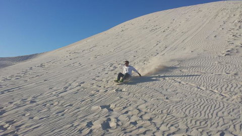 Pinnacles Desert, Koalas And Sandboarding 4WD Day Tour From Perth - Accommodation Burleigh 14