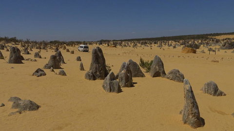 Pinnacles Desert, Koalas And Sandboarding 4WD Day Tour From Perth - Accommodation Burleigh 4