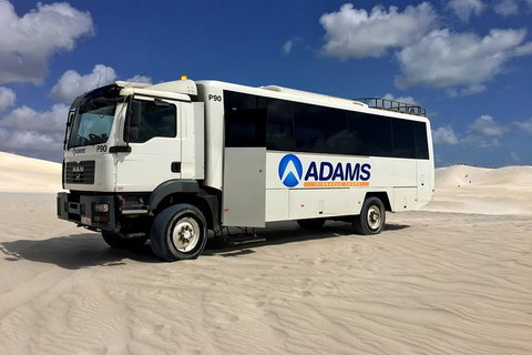 Pinnacles Desert, Koalas And Sandboarding 4WD Day Tour From Perth - Accommodation Burleigh 28