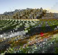 Margaret River Caves Wine and Cape Leeuwin Lighthouse Tour from Perth - Accommodation Burleigh
