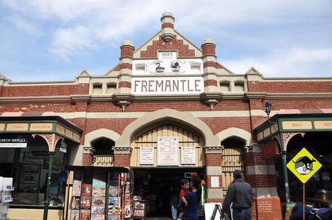 Full-Day Penguin Island & Fremantle Town - Accommodation Burleigh 1