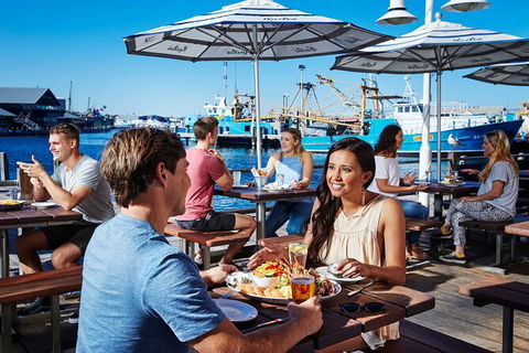 Full-Day Penguin Island & Fremantle Town - Accommodation Burleigh 7